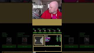 The struggle youtuber faces when owning a pet (Cat edition)