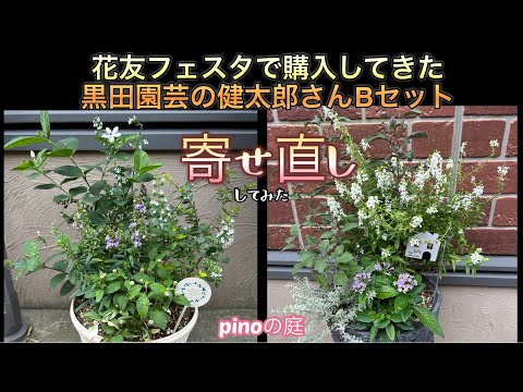 トランペットの木の伐採:手順とヒント 植物