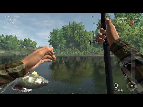 ArcoLinux : 1501 ArcoLinuxB Jwm - Lutris - Steam - 30 minutes Fishing Planet