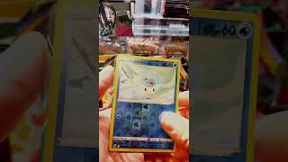 Not the Cubchoo hate!! #pokemoncards #collxallfam #pokemontcg #ripandship