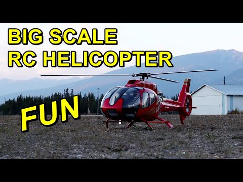 Big Scale RC Helicopter Flight - 800 Size Roban EC130 & Scale Pilot