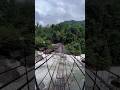 Meghalaya Shorts Double Decker Bridge Single Decker Bridge Root Bridge India