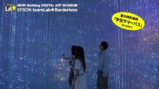 森ビル デジタルアート ミュージアム：エプソン チームラボボーダレス