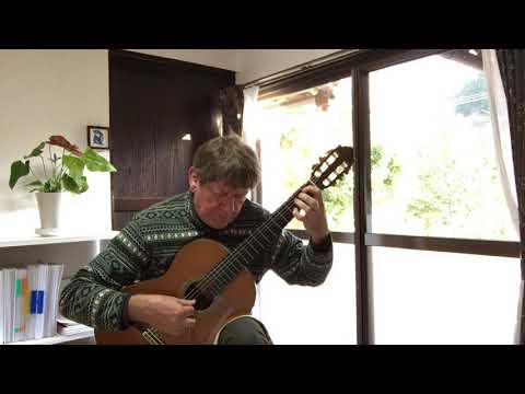 Roque Carbajo - Papillons