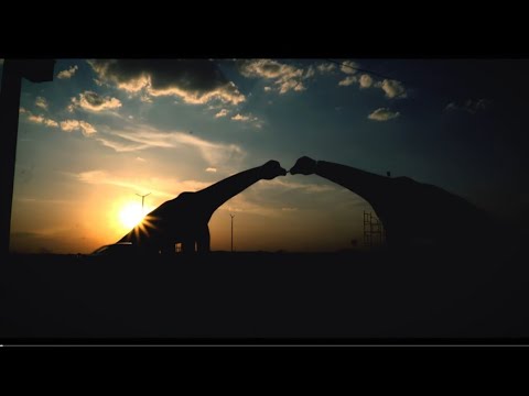 Paraiba Jóia rara (Clipe oficial)