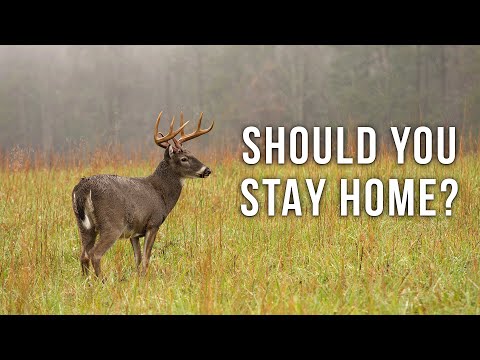 Should You Be Deer Hunting In The Rain?