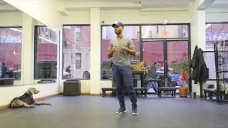 proper prong collar use and understanding