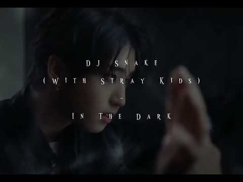 DJ Snake (With Stray Kids) - In The Dark | Slowed (Special Version)