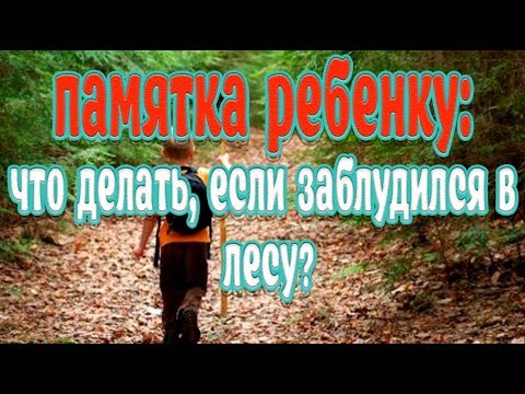 Памятка ребенку➤Что делать, если заблудился в лесу➤Как не заблудиться в лесу