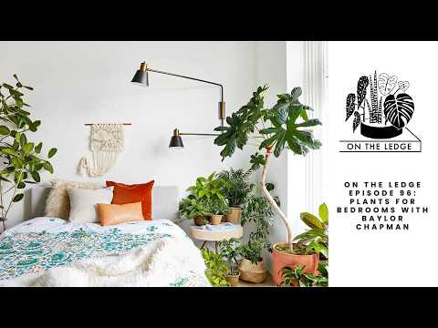 download lagu mp3 mp4 Baylor Chapman, download lagu Baylor Chapman gratis, unduh video klip Baylor Chapman