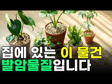 집에 있는 이거 당장 버리세요!