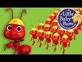 Ants Go Marching Nursery Rhymes For Babies By LittleBabyBum ABCs And 123s