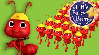 Ants Go Marching | Nursery Rhymes for Babies by LittleBabyBum - ABCs and 123s