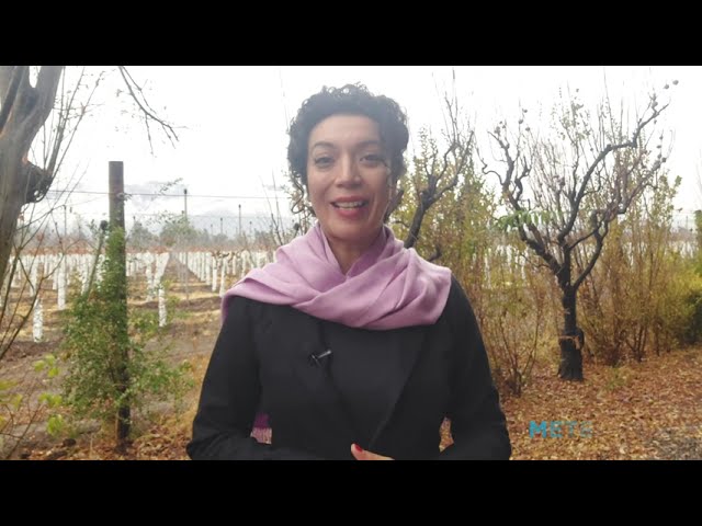 youtube video id=axPqH00mFFA