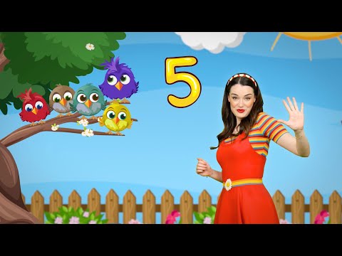 Daisy Dot - FIVE LITTLE BIRDS 🐦🐦🐦🐦🐦