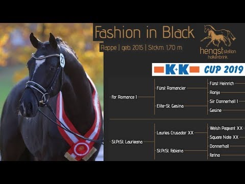 Fashion In Black @ K&K CUP 2019