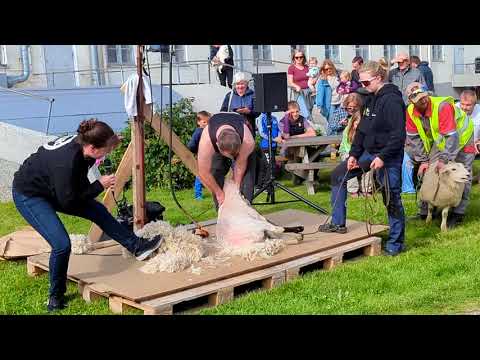 Austrått DAGAN  2023 på Ørlandet