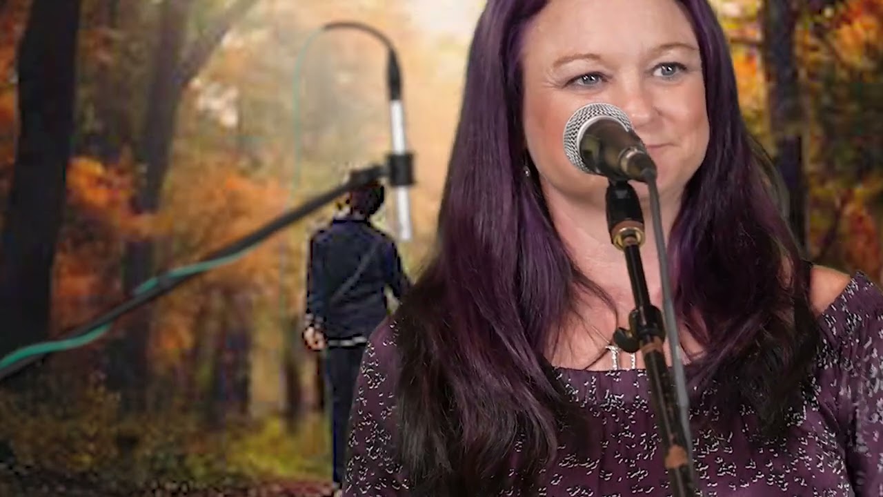 Promotional video thumbnail 3 for The Sheila Ann Band