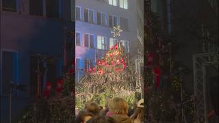 🇨🇭チューリッヒ. シンギングクリスマスツリー