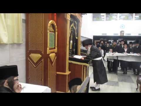 Sefiras Haomer With Nadvorna Yerushalayim Rebbe - 5775