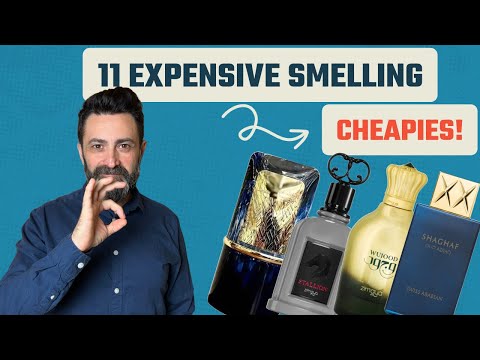 11 EXPENSIVE Smelling CHEAPIES! | Smell Way More Expensive Than You Actually Have Paid!