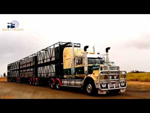 Modern Talking - Lucky Guy  Road Train Win System (Remix)