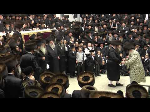 The wedding of the grandson of the Rebbe of Moiznitz #ChassidicTradition #RebbeFamily #JewishWedding