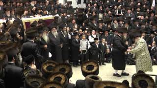 Download lagu The wedding of the grandson of the Rebbe of Moiznitz #ChassidicTradition #RebbeFamily #JewishWedding mp3