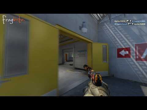 ScreaM five USP-S-headshots vs. Dignitas