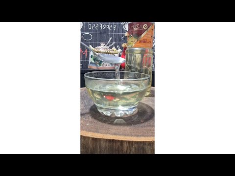 Saquê Mirin Caseiro #shorts