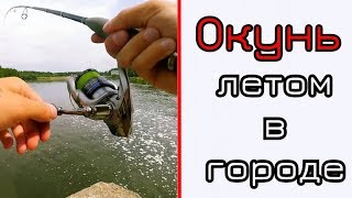 Ловля окуня на отводной поводок летом в белоруссии