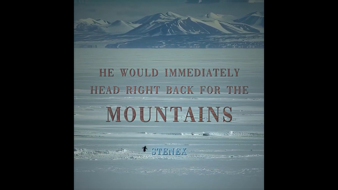 "BUT WHY? 🐧" | Deranged Penguin Edit #memes #edit