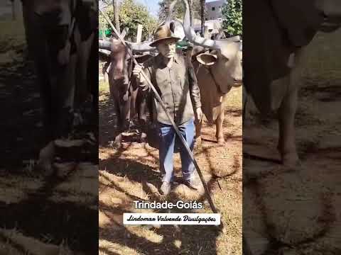 Escultura de um Boiadeiro em Trindade-Goiás