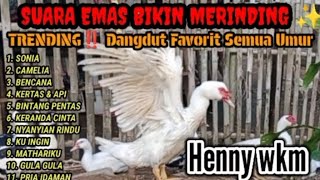 Download lagu SUARA EMAS BIKIN MERINDING mp3