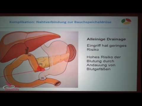 10. Ärzte- und Patientenseminar: Tumore und Erkrankungen der Bauchspeicheldrüse