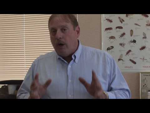 Pest Control : How to Repel Squirrels