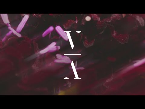 MYRNE - Field [Extended Mix]