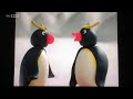 The Pingu Show Penguin Facts With Profssor Pingu 99