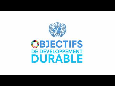 Connaissez-vous chacun des 17 objectifs de développement durable?