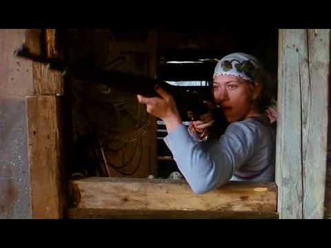 Macskajaj - Lövöldözés - #macskajaj #vicces #mém