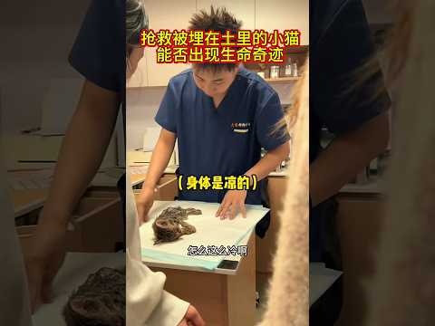 抢救被埋在土里的小猫，生命奇迹诞生了#抖音 #令人惊叹 #funny #台湾 #香港 #新加坡 #美国 #马来西亚 #加拿大 #韩国