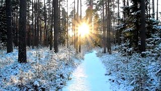 Laeva Soo Matkarada, Laeva Bog Hiking Track - Estonia Travel
