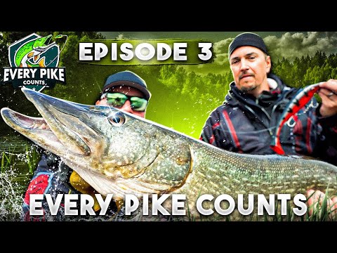 EVERY PIKE COUNTS 2023 with Happy Angler | Episode 3 [ENG SUB]