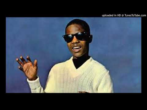 STEVIE WONDER - WORKOUT STEVIE WORKOUT