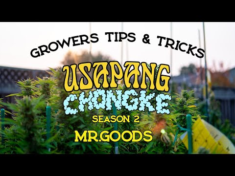 MR. GOODS | USAPANG CHONGKE