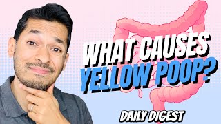 What Causes Yellow Poop?
