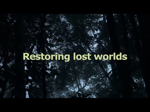 Protecting lost worlds in Sabah, Malaysia