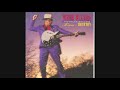 Webb Wilder // Honky Tonk Hell // La Makina de Rock and Roll.(1638)