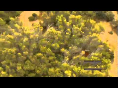 Hunting Aotearoa S5 ep13 Teaser