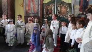 preview picture of video 'Serbare Craciun la Biserica Pogorarea Duhului Sfant LAPUSNICU MARE 25.12.2014 (video 2)'